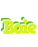 Boie citrus logo