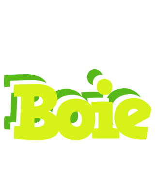 Boie citrus logo