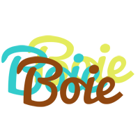 Boie cupcake logo