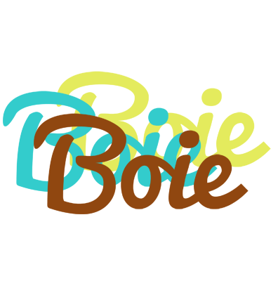 Boie cupcake logo