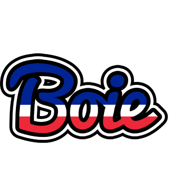 Boie france logo