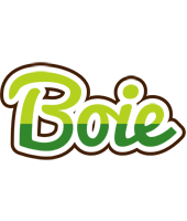 Boie golfing logo