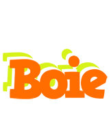 Boie healthy logo