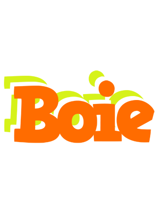 Boie healthy logo