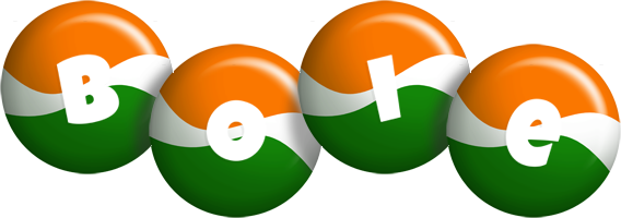 Boie india logo