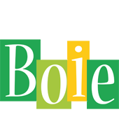 Boie lemonade logo