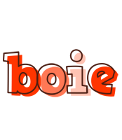 Boie paint logo