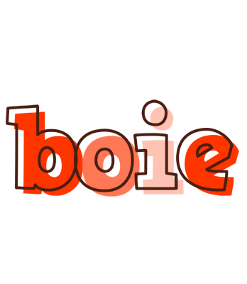 Boie paint logo