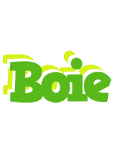 Boie picnic logo