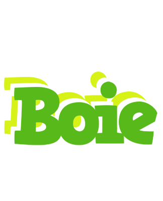 Boie picnic logo