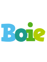 Boie rainbows logo