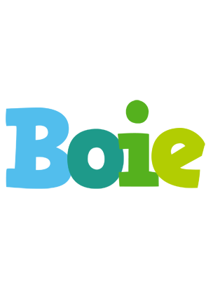 Boie rainbows logo