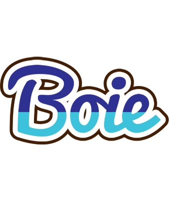 Boie raining logo