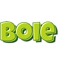 Boie summer logo