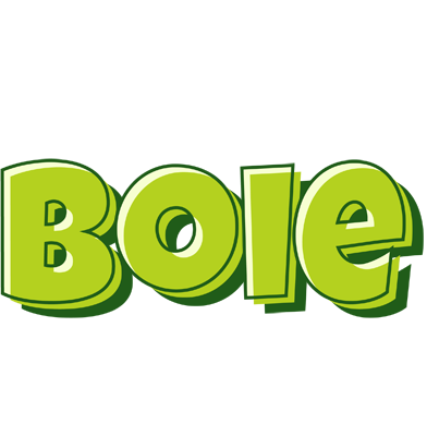 Boie summer logo