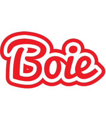 Boie sunshine logo
