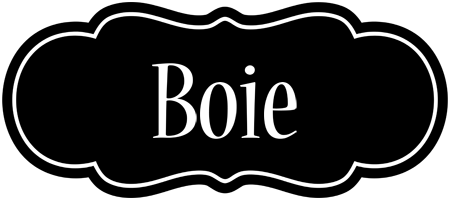 Boie welcome logo