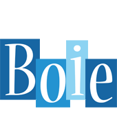 Boie winter logo