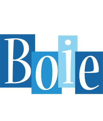 Boie winter logo