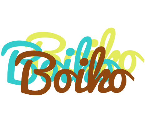 Boiko cupcake logo