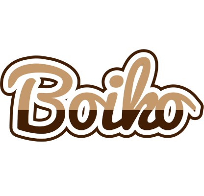 Boiko exclusive logo