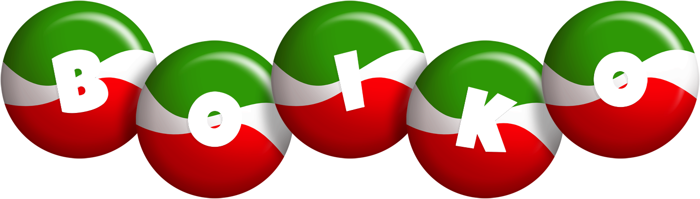 Boiko italy logo