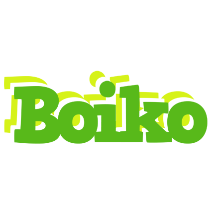 Boiko picnic logo