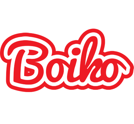 Boiko sunshine logo