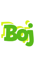 Boj picnic logo