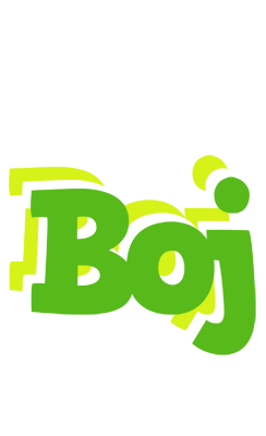 Boj picnic logo