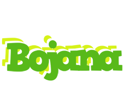 Bojana picnic logo