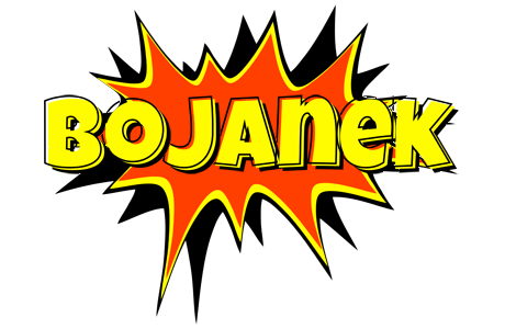 Bojanek bazinga logo