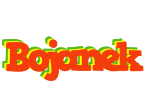 Bojanek bbq logo