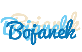 Bojanek breeze logo