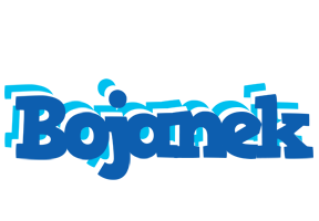Bojanek business logo