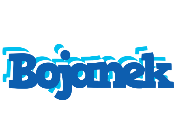 Bojanek business logo
