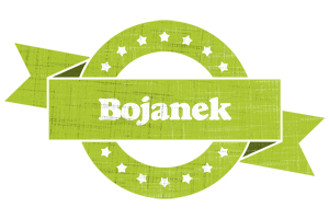 Bojanek change logo