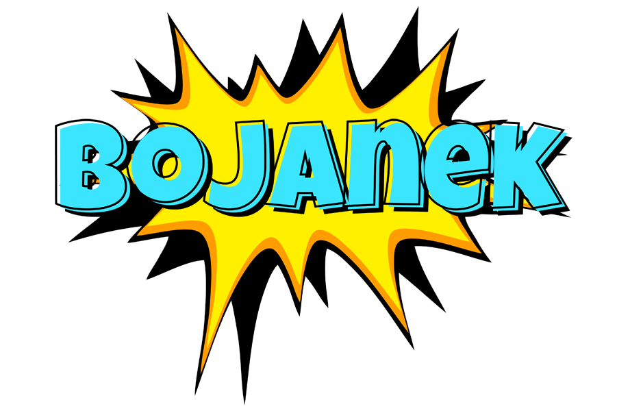 Bojanek indycar logo