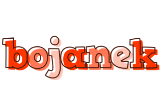 Bojanek paint logo