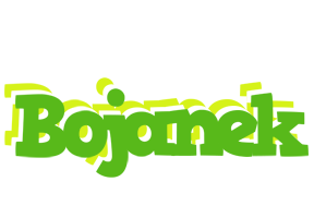 Bojanek picnic logo