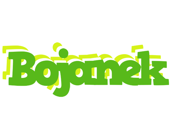 Bojanek picnic logo