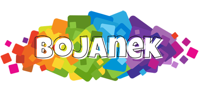 Bojanek pixels logo
