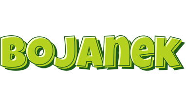 Bojanek summer logo