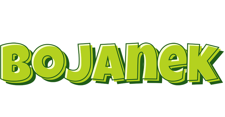 Bojanek summer logo