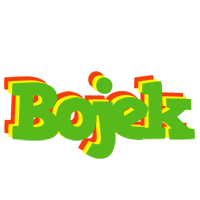 Bojek crocodile logo