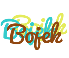 Bojek cupcake logo