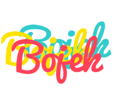 Bojek disco logo