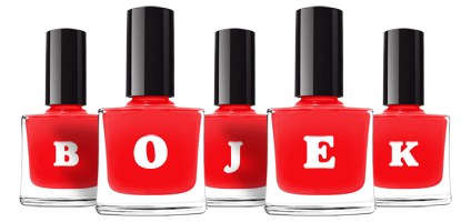 Bojek fashion logo