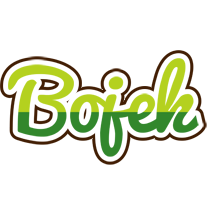 Bojek golfing logo