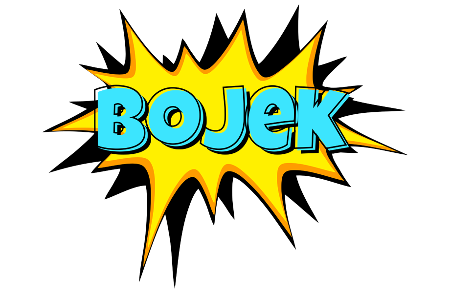 Bojek indycar logo